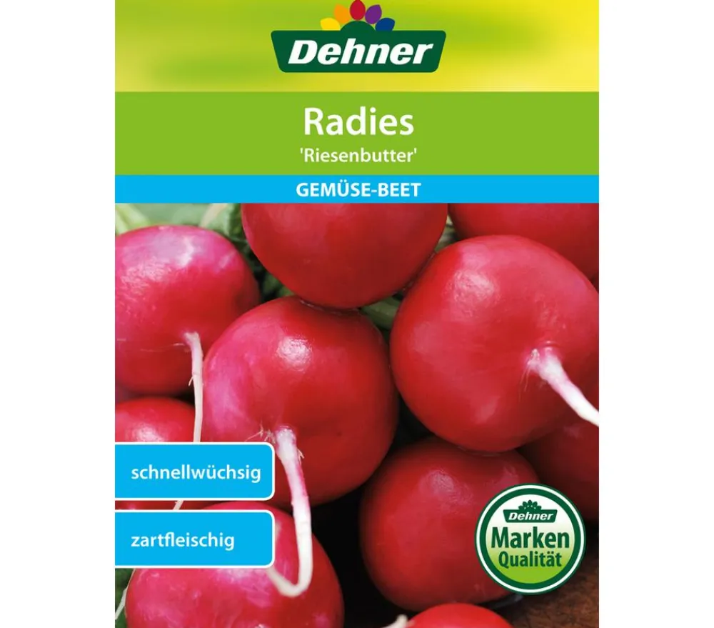 Dehner Samen Radies 'Riesenbutter' Sale