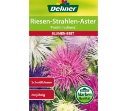Dehner Blumensamen - Samen Riesen-Strahlen-Aster 'Prachtmischung' Bunt