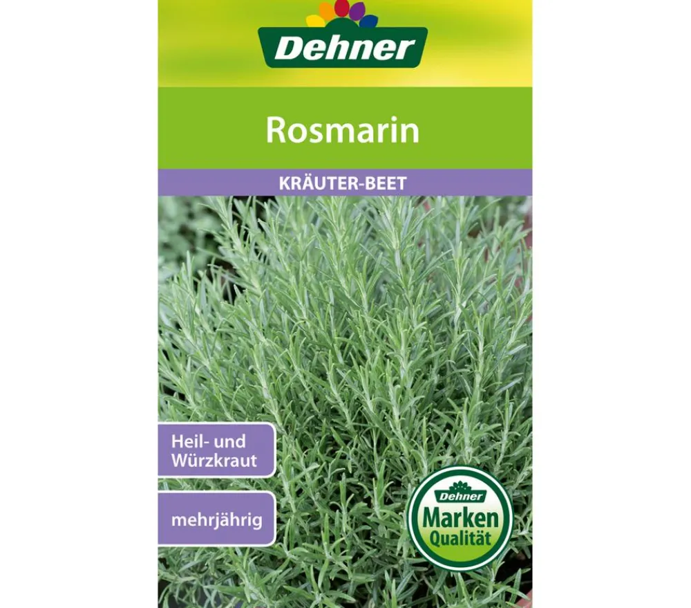 Dehner Kräutersamen > Samen Rosmarin