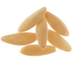 Dehner Gemüsesamen > Samen Salatgurke 'Bella'