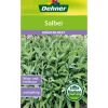 Dehner Samen Salbei Online