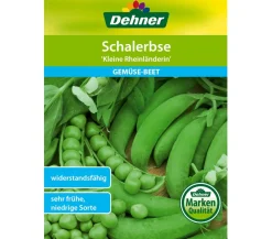 Dehner Gemüsesamen > Samen Schalerbse 'Kleine Rheinländerin'