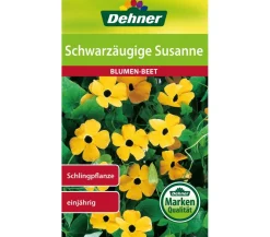 Dehner Samen Schwarzäugige 'Susanne' Gelb Discount