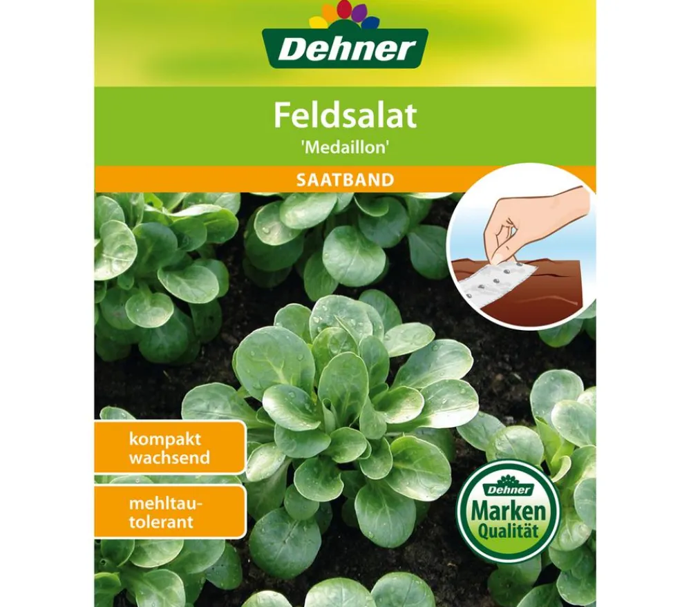 Dehner Markenqualität Dehner Samen-Set Easy Going Outlet