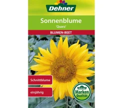 Dehner Blumensamen - Samen Sonnenblume 'Quarz' Gelb