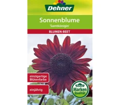 Dehner Blumensamen - Samen Sonnenblume 'Samtkönigin' Rot