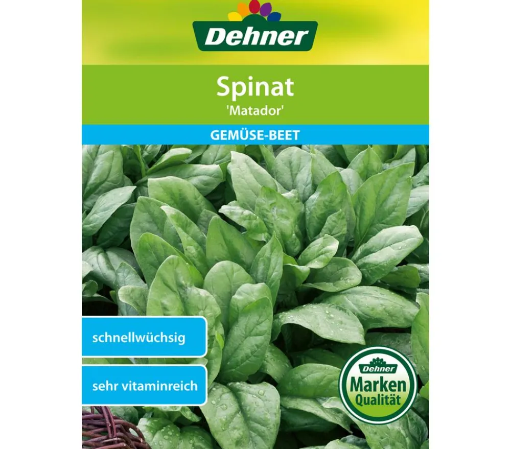 Dehner Gemüsesamen - Samen Spinat 'Matador'
