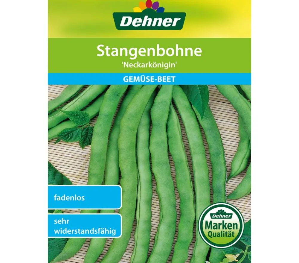 Dehner Gemüsesamen - Samen Stangenbohne 'Neckarkönigin'