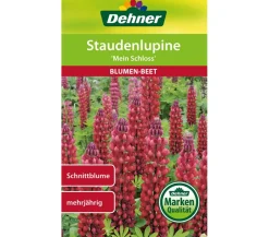Dehner Blumensamen - Samen Staudenlupine 'Mein Schloss' Rot