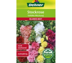 Dehner Samen Stockrose 'Gefüllte Mischung' Bunt New