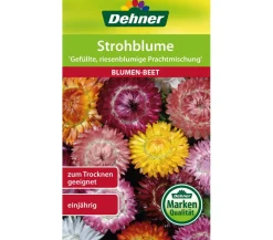 Dehner Samen Strohblume 'Gefüllte, riesenblumige Prachtmischung' Bunt Outlet