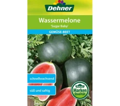 Dehner Obstsamen - Samen Wassermelone 'Sugar Baby'