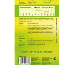 Dehner Samen Winterendivie 'Nummer Vijf 2' New