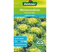 Dehner Samen Winterendivie 'Nummer Vijf 2' New