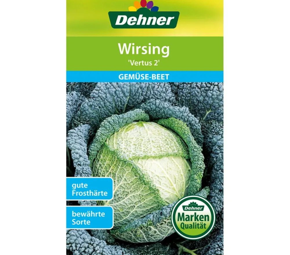 Dehner Gemüsesamen - Samen Wirsing 'Vertus 2'
