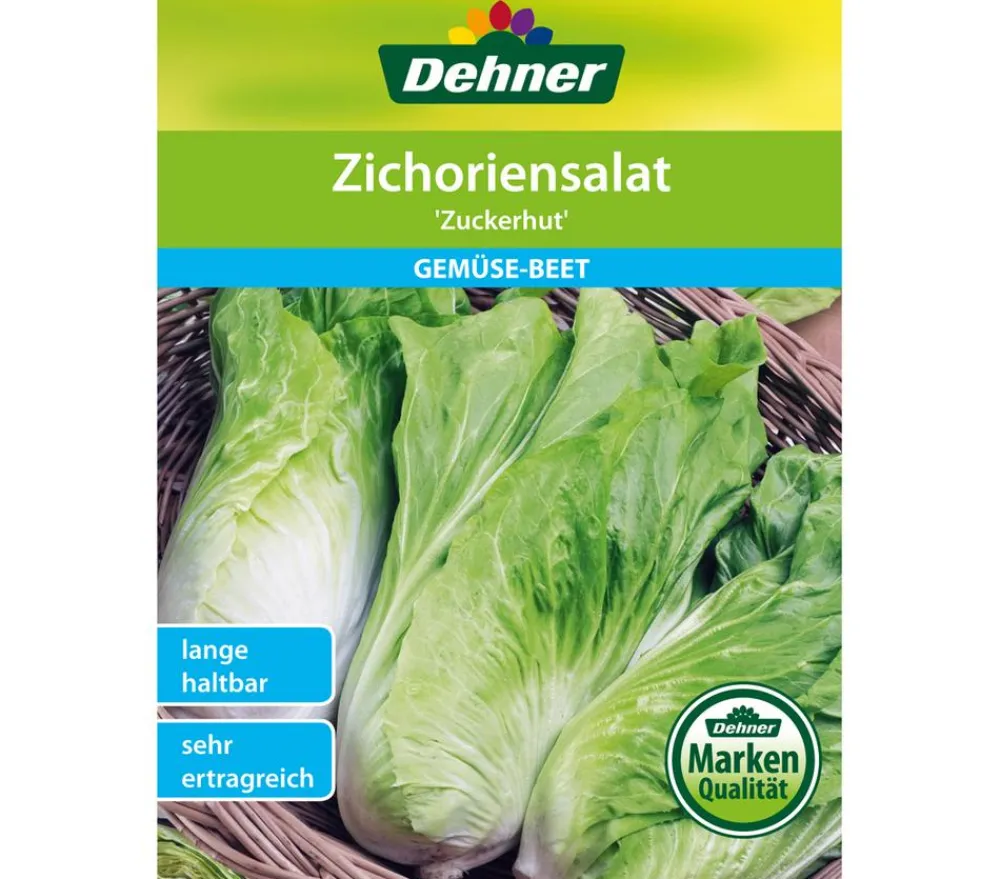 Dehner Gemüsesamen - Samen Zichoriensalat 'Zuckerhut'
