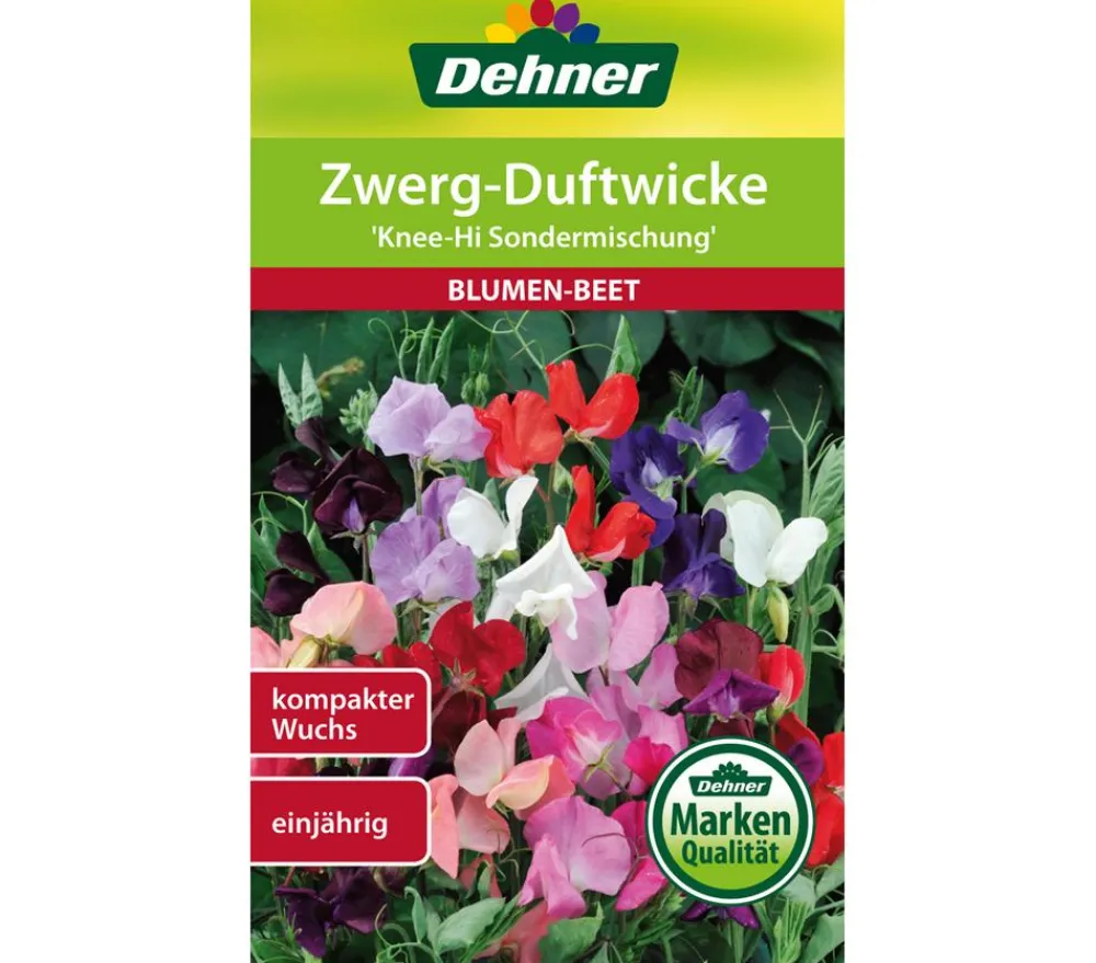 Dehner Blumensamen > Samen Zwerg-Duftwicke 'Knee-Hi Sondermischung'