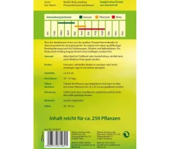 Dehner Blumensamen > Samen Zwergmargerite 'er Ring'