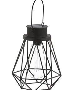 Dehner Solar-Drahtglühbirne Blackora, ca. Ø16/H20 cm Discount