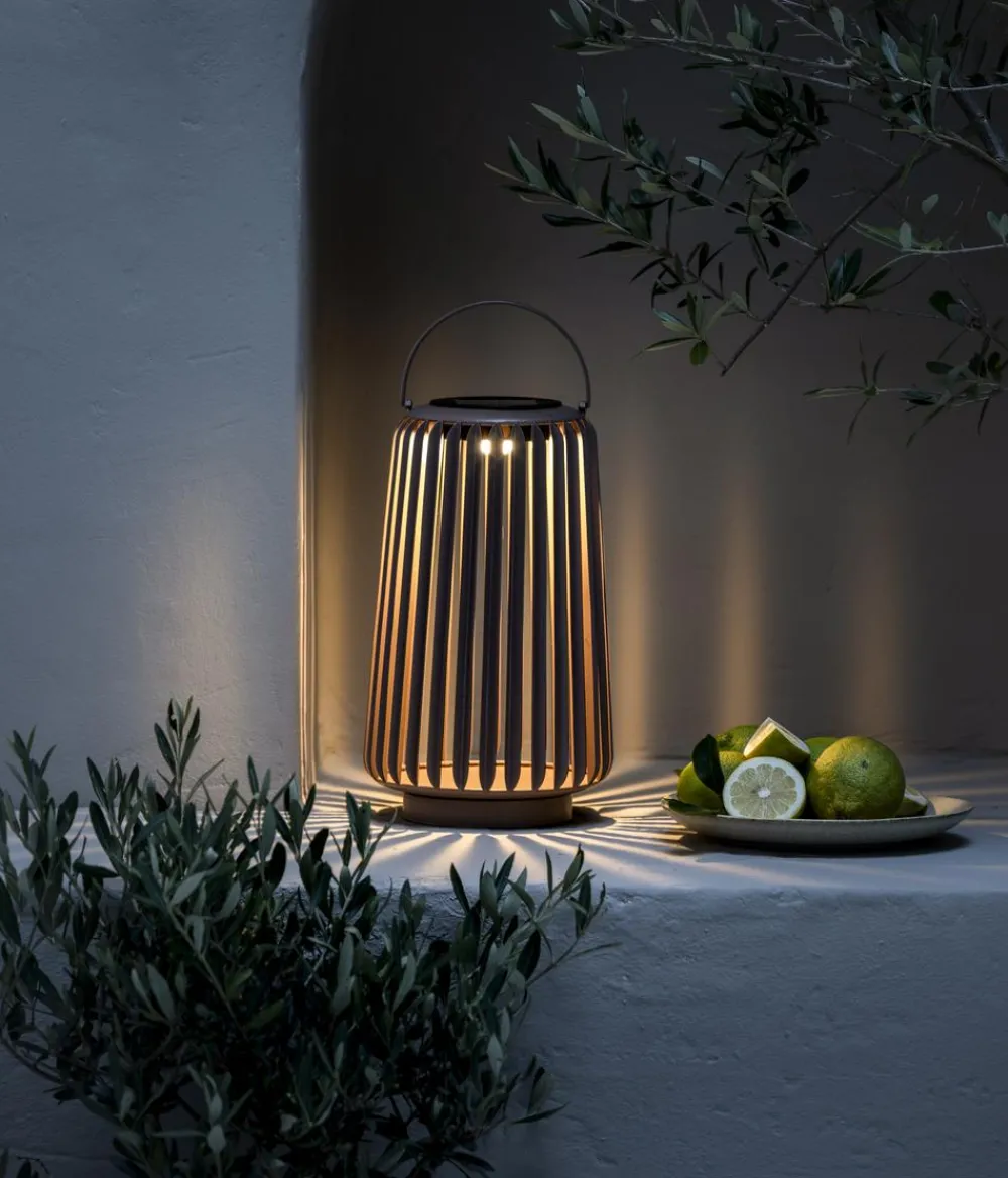 Dehner Solar-Laterne Amira Hot