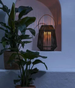 Dehner Solar-Laterne Ella Online