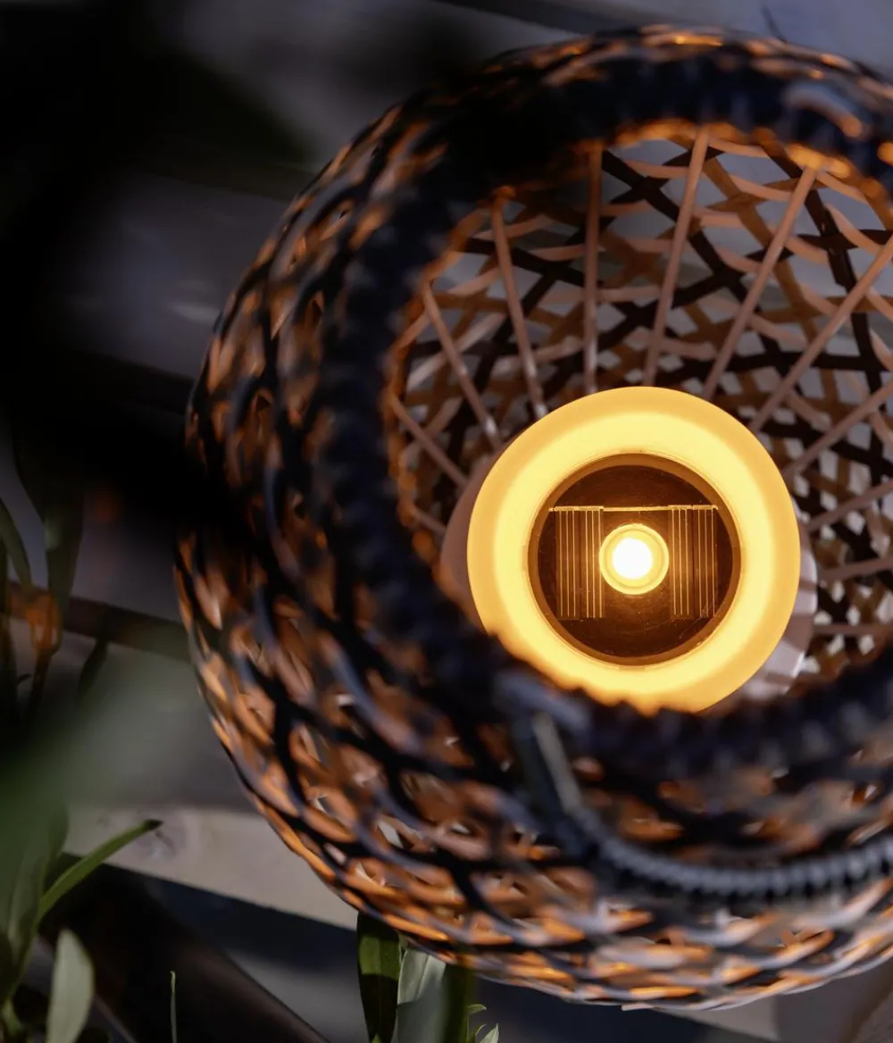 Dehner Solarleuchten > Solar-Laterne Tamarin