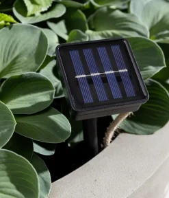 Dehner Solarleuchten|Laternen & Dekoleuchten > Solar-Lichterkette Manaus