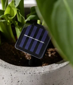 Dehner Solarleuchten|Laternen & Dekoleuchten > Solar-Lichterkette Ronda