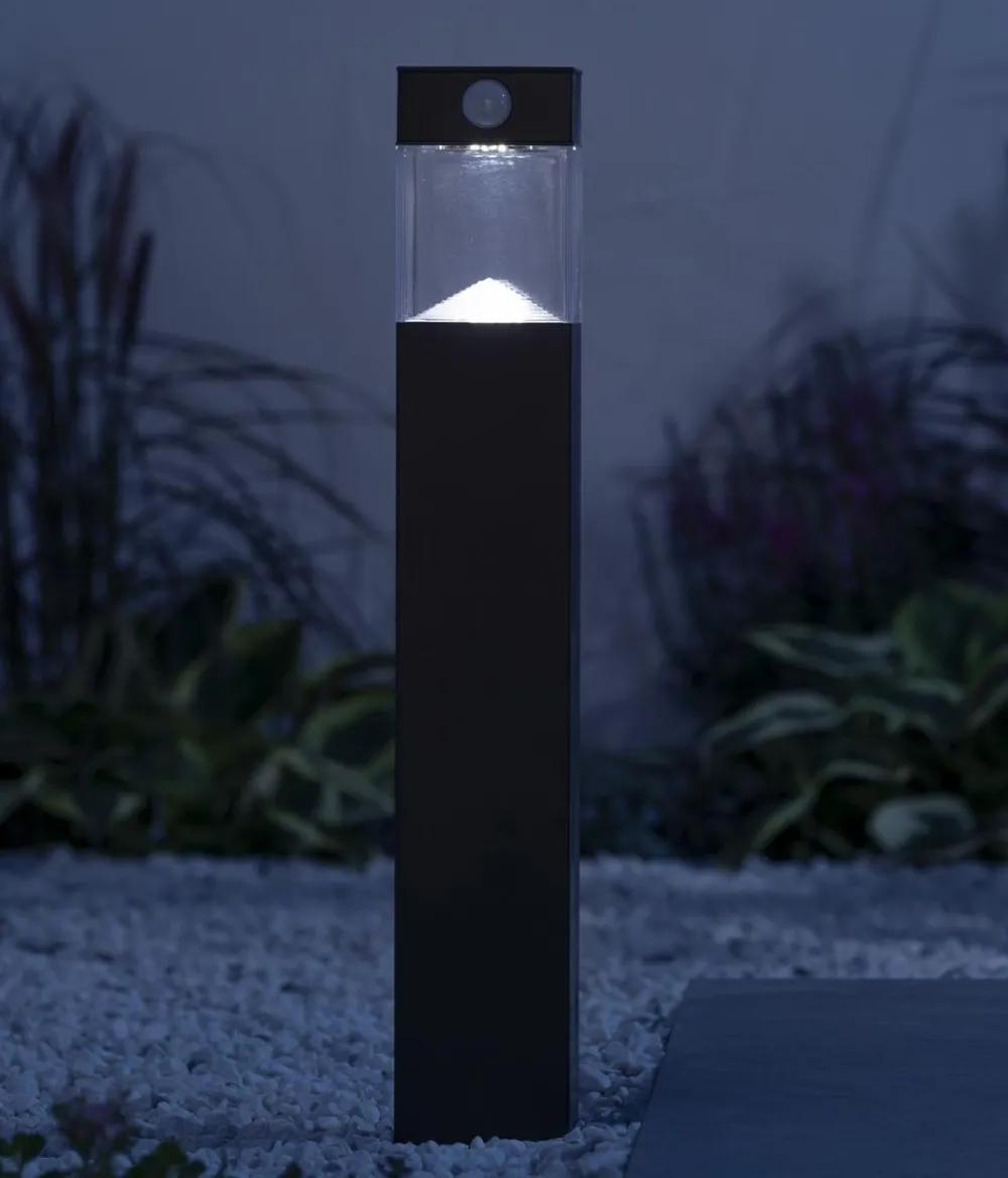 Dehner Solar-Wegleuchte Goran, ca. B8/H50/T8 cm Sale