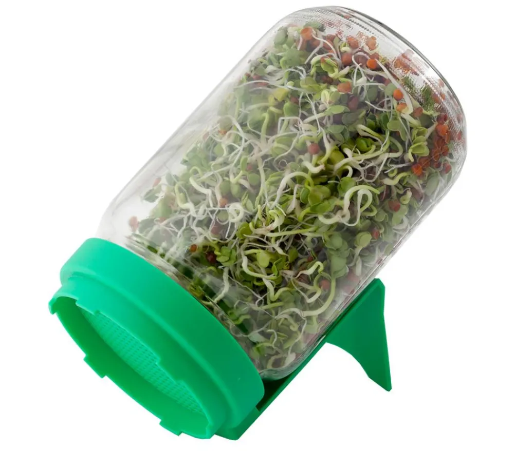 Dehner Anzuchthäuser - Sprossenglas