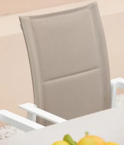 Dehner Stapelstühle|Gartenstühle Aluminium > Stapelstuhl Palermo