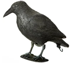 Dehner Schädlingsbekämpfungsmittel > Taubenschreck Rabe