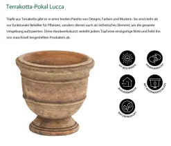 Dehner Blumentöpfe & Übertöpfe > Terrakotta-Pokal Lucca, rund, mterra, ca. Ø16/H15 cm