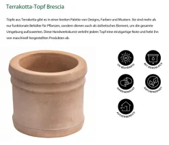 Dehner Blumentöpfe & Übertöpfe > -Topf Brescia, rund