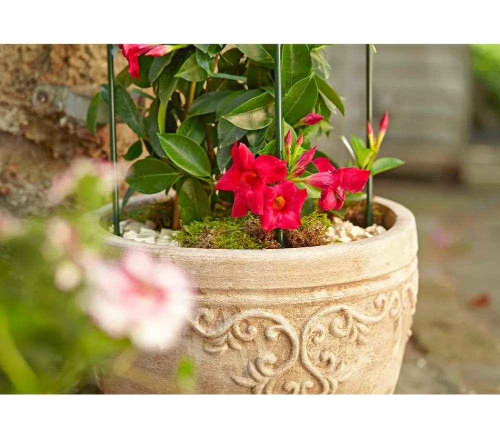 Dehner -Topf Lyah, rund, antik- Terrakotta Discount