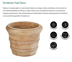 Dehner Blumentöpfe & Übertöpfe > Terrakotta-Topf Siena, rund, mterra, ca. Ø16/H13 cm
