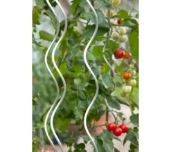 Dehner Rankstäbe > Tomaten-Spiralstab, verzinkt, ca. H170 cm