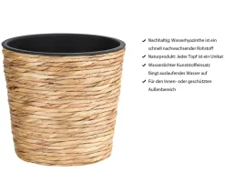 Dehner Wasserhyazinthen-Topf, konisch, Natur Discount