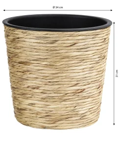 Dehner Wasserhyazinthen-Topf, konisch, Natur Discount