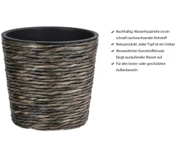 Dehner Blumentöpfe & Übertöpfe > Wasserhyazinthen-Topf, konisch,