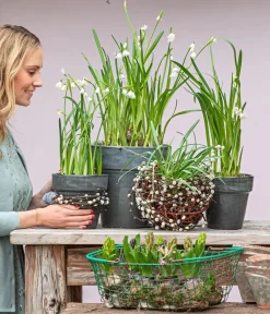 Dehner Mehr Gartendekoration - Weidenkugel