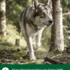 Dehner Wild Nature Nahrungsergänzung Hund > BARF-Ergänzungsfutter für Hunde Flocken-Mix Pastinake-Kürbis