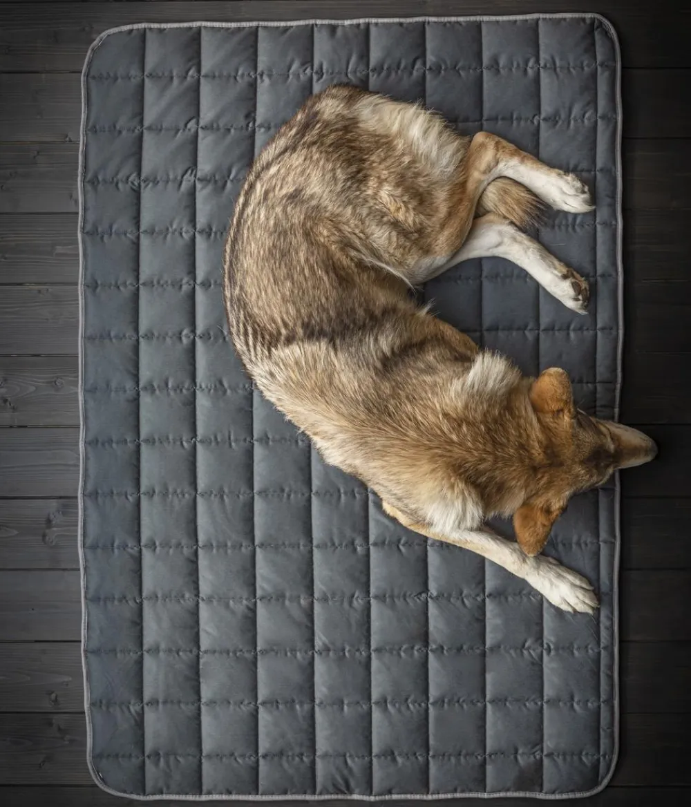Dehner Wild Nature Hundedecken - Hundedecke Banket, rechteckig Dunkelgrau