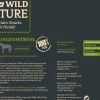 Dehner Wild Nature Hundeleckerlies - Hundesnack Pferde-Lungenwürfel, 200 g