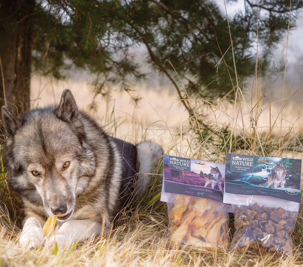 Dehner Wild Nature Hundeleckerlies - Hundesnack Lammohren, 200 g