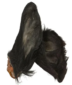 Dehner Wild Nature Hundeleckerlies > Hundesnack Kalbsohren mit Fell