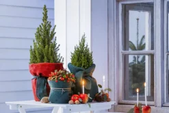 Dehner Pflanzenfolien & Ernteschutz|Mehr Blumentopfzubehör - Winterschutz Jute-Dekoband, ca. L300/B6 cm Dunkelgrün