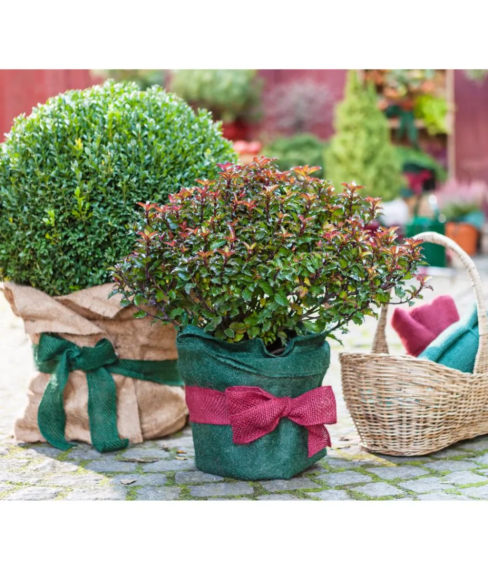 Dehner Pflanzenfolien & Ernteschutz|Mehr Blumentopfzubehör - Winterschutz Jute-Dekoband, ca. L300/B6 cm Rot