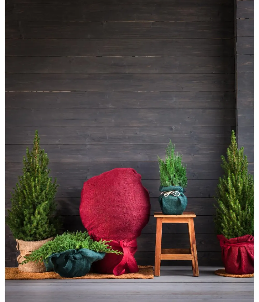 Dehner Pflanzenfolien & Ernteschutz|Mehr Blumentopfzubehör - Winterschutz Jute-Dekoband, ca. L300/B6 cm Rot