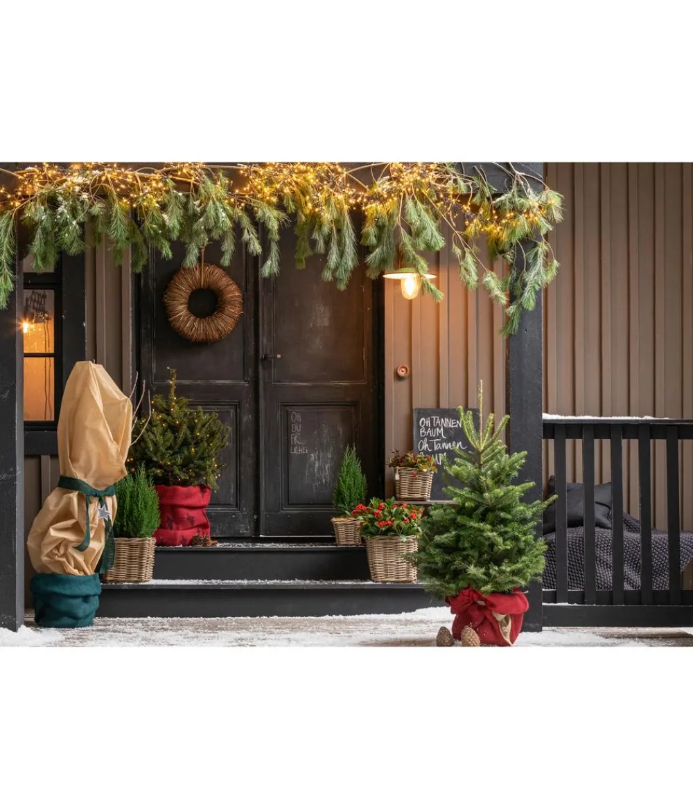 Dehner Pflanzenfolien & Ernteschutz|Mehr Blumentopfzubehör > Winterschutz-Jutegewebe mit Dekor, ca. L300/B105 cm
